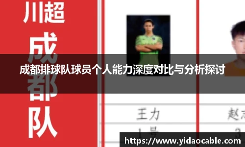 成都排球队球员个人能力深度对比与分析探讨